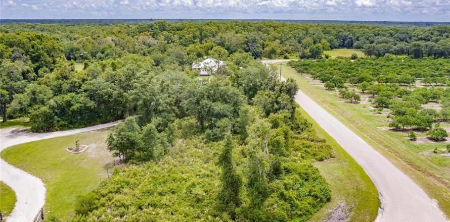 Land in Arcadia, Florida № 1851421