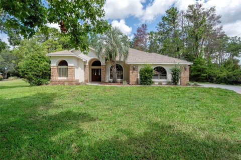 Villa ou maison à vendre à Weeki Wachee, Floride: 3 chambres, 225.2 m2 № 1870332 - photo 1