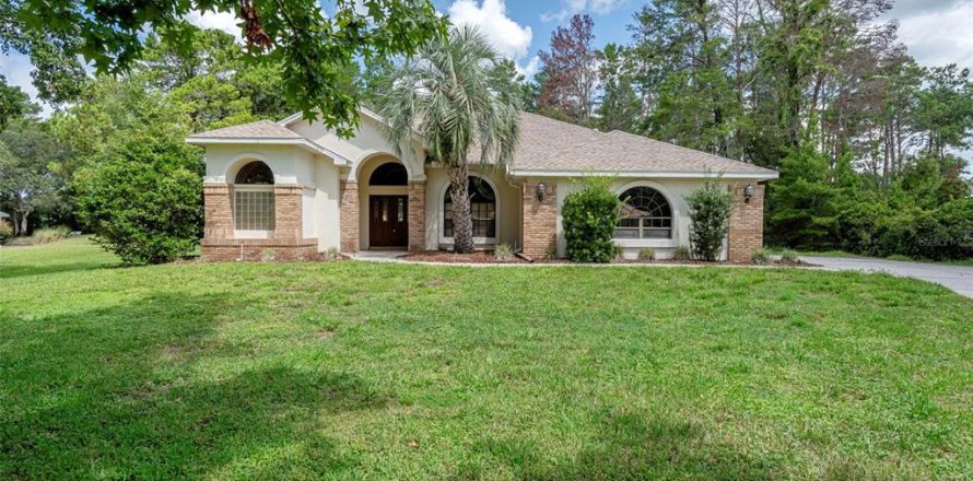 Villa ou maison à Weeki Wachee, Floride 3 chambres, 225.2 m2 № 1870332