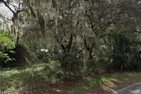 Land in Riverview, Florida № 1800191 - photo 1