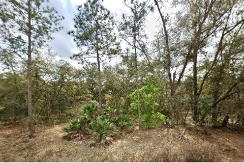 Land in Interlachen, Florida № 2160640