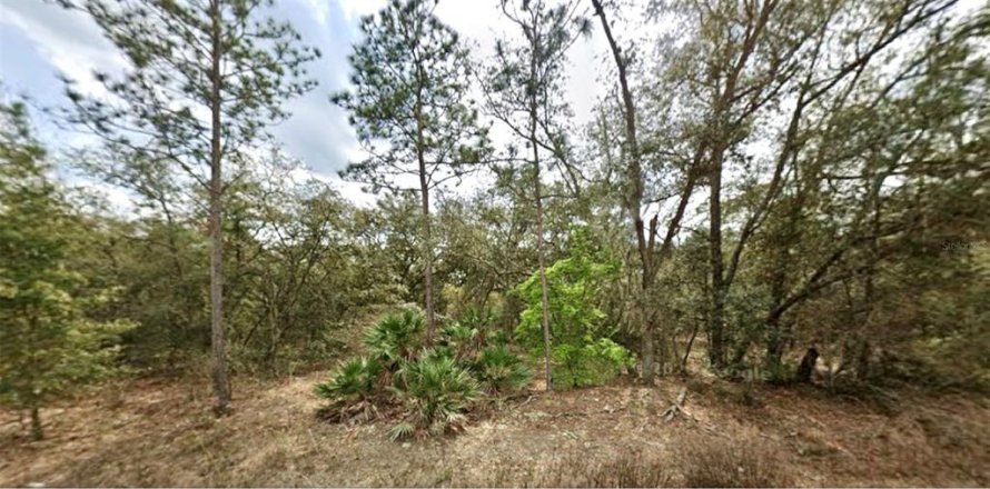 Land in Interlachen, Florida № 2160640