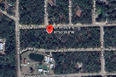 Land in Interlachen, Florida № 2160640 - photo 4