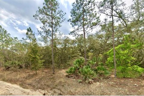Land in Interlachen, Florida № 2160640 - photo 2
