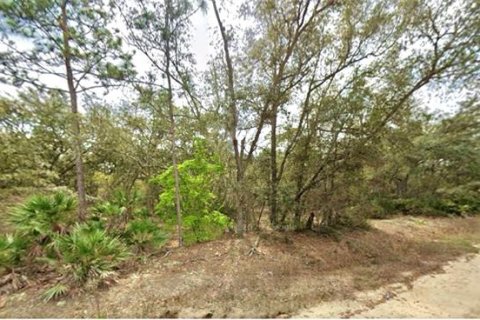 Land in Interlachen, Florida № 2160640 - photo 3