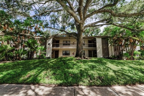 Copropriété à louer à Clearwater, Floride: 2 chambres, 87.33 m2 № 1901640 - photo 1