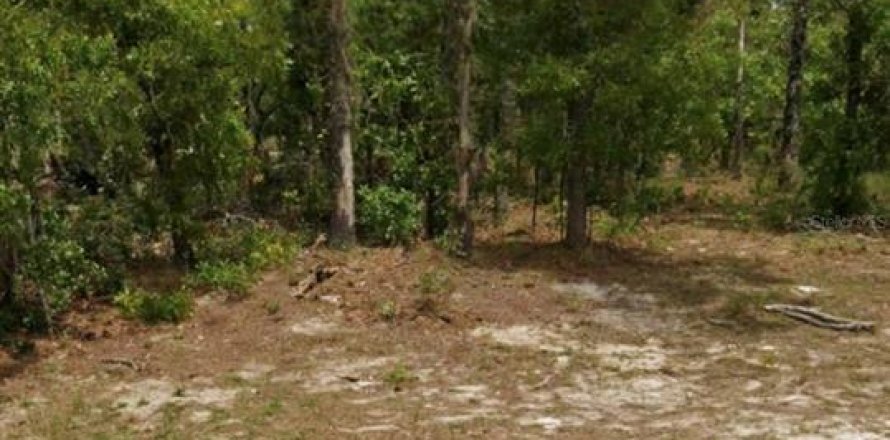 Terrain à Dunnellon, Floride № 2230372