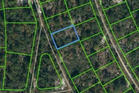 Land in Lake Placid, Florida № 2163982