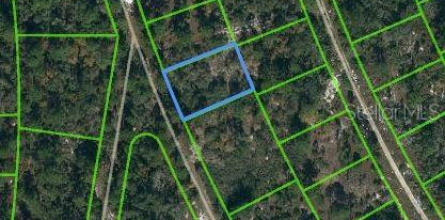 Land in Lake Placid, Florida № 2163982