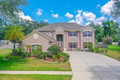 Casa en Seffner, Florida 6 dormitorios, 387.68 m2 № 2117556