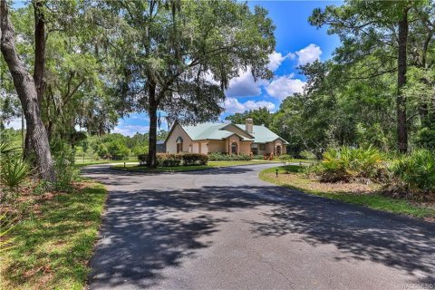 House in Crystal River, Florida 4 bedrooms, 324.79 sq.m. № 2133571