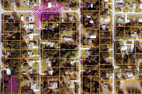 Land in Summerfield, Florida № 2195242 - photo 3
