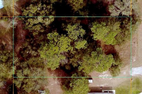 Land in Summerfield, Florida № 2195242