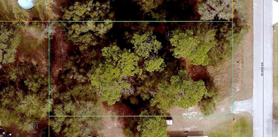 Land in Summerfield, Florida № 2195242