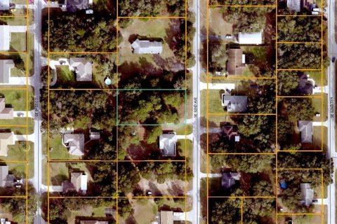 Land in Summerfield, Florida № 2195242 - photo 2