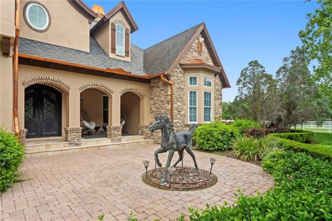 Villa ou maison à vendre à Odessa, Floride: 4 chambres, 454.48 m2 № 2219049 - photo 3