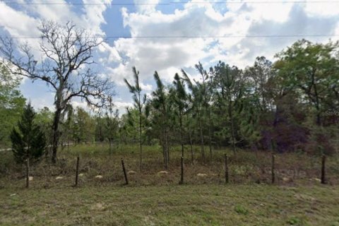 Land in Ocala, Florida № 2351843