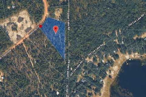 Terreno en Hawthorne, Florida № 2226577
