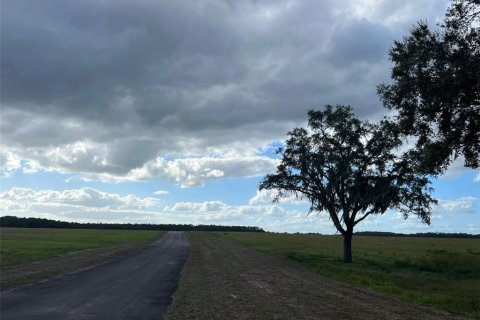 Land in Ocklawaha, Florida № 651590 - photo 28