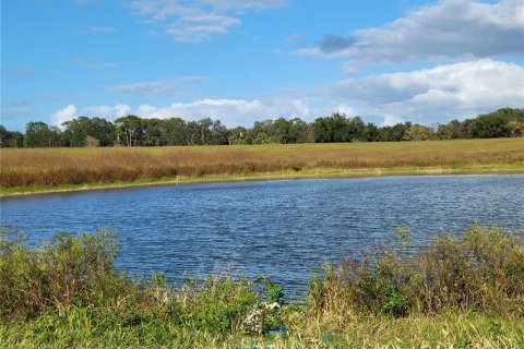 Land in Ocklawaha, Florida № 651590 - photo 14