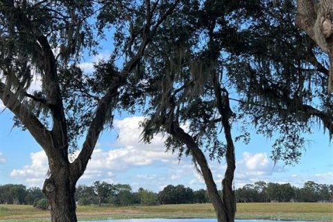 Land in Ocklawaha, Florida № 651590 - photo 29
