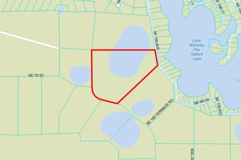Land in Ocklawaha, Florida № 651590 - photo 3