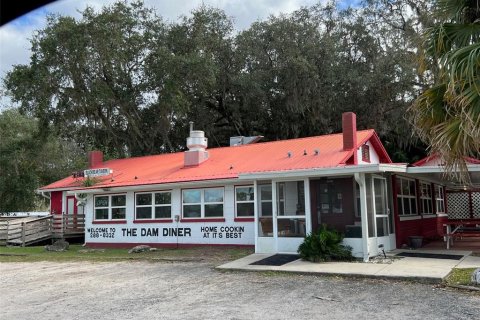 Land in Ocklawaha, Florida № 651590 - photo 22