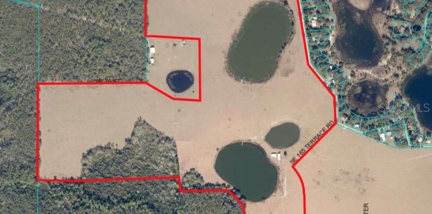 Land in Ocklawaha, Florida № 651590