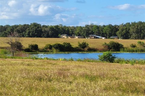 Land in Ocklawaha, Florida № 651590 - photo 17