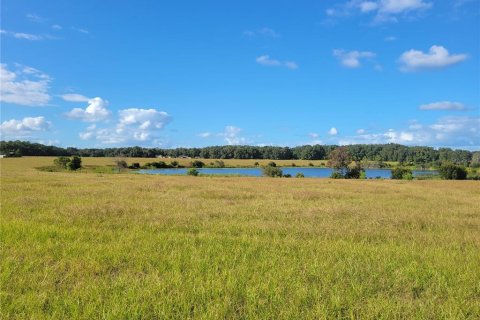 Land in Ocklawaha, Florida № 651590 - photo 16