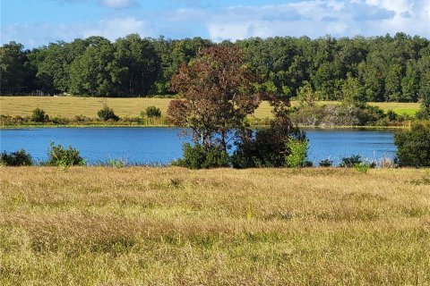 Land in Ocklawaha, Florida № 651590 - photo 18