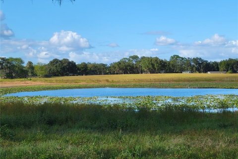 Land in Ocklawaha, Florida № 651590 - photo 12