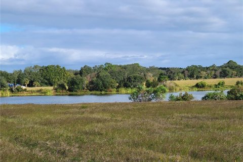 Land in Ocklawaha, Florida № 651590 - photo 21