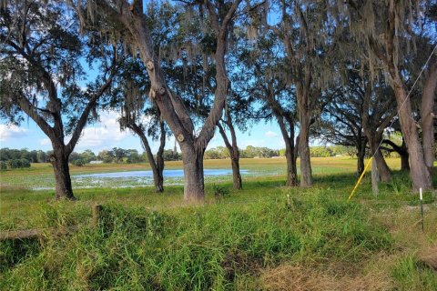 Land in Ocklawaha, Florida № 651590 - photo 10