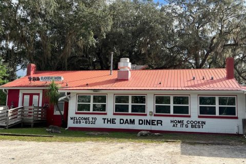 Land in Ocklawaha, Florida № 651590 - photo 23