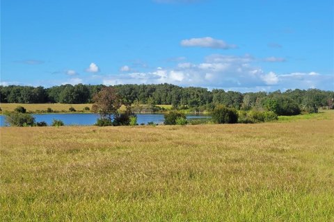 Land in Ocklawaha, Florida № 651590 - photo 19