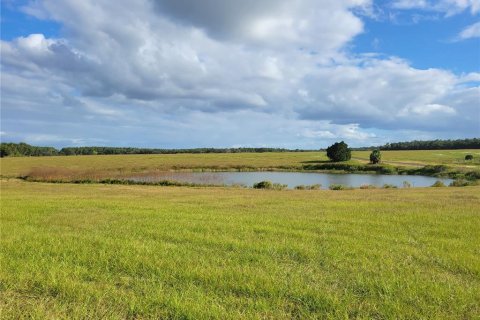 Land in Ocklawaha, Florida № 651590 - photo 15