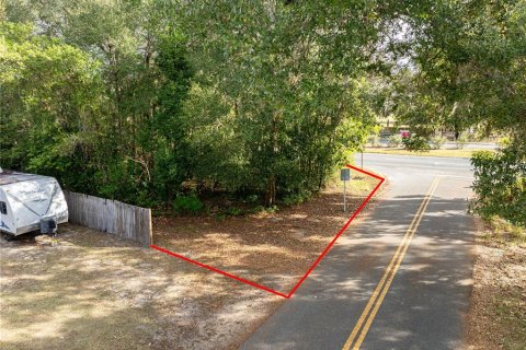 Land in Ocala, Florida № 2165814 - photo 2