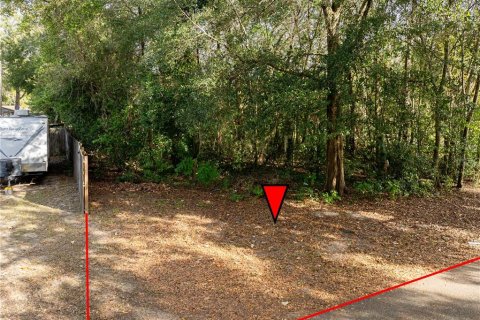Land in Ocala, Florida № 2165814