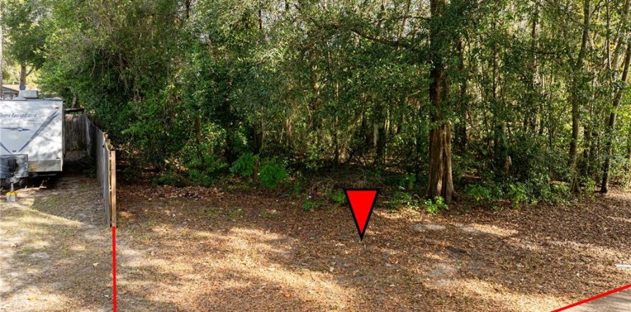 Land in Ocala, Florida № 2165814