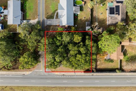 Land in Ocala, Florida № 2165814 - photo 7