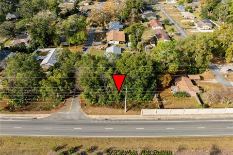 Land in Ocala, Florida № 2165814 - photo 6
