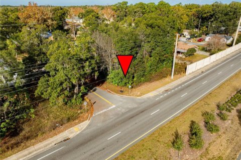 Land in Ocala, Florida № 2165814 - photo 5