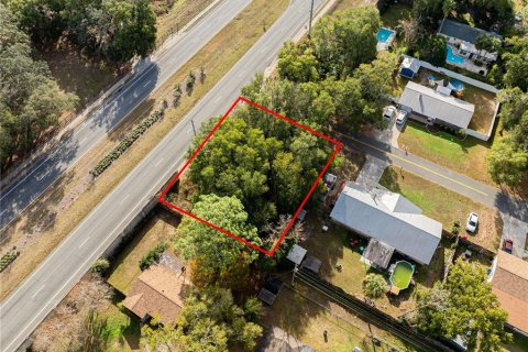 Land in Ocala, Florida № 2165814 - photo 3