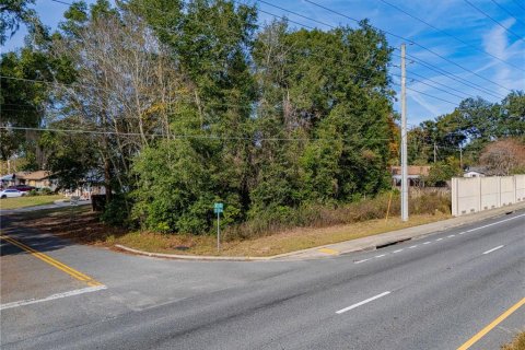 Land in Ocala, Florida № 2165814 - photo 9