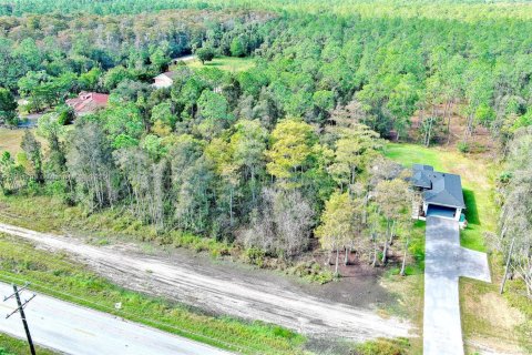 Land in Naples, Florida № 2013369 - photo 3