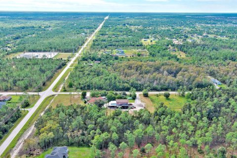 Land in Naples, Florida № 2013369 - photo 13