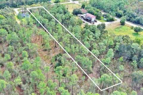 Land in Naples, Florida № 2013369 - photo 15