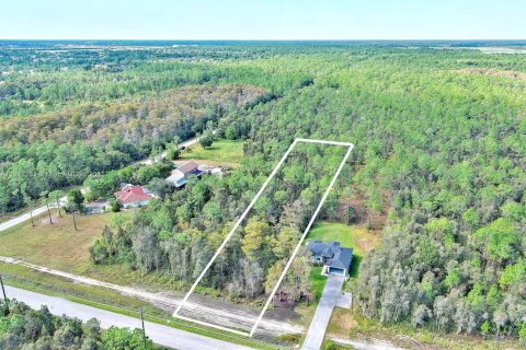 Land in Naples, Florida № 2013369 - photo 4