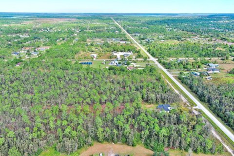 Land in Naples, Florida № 2013369 - photo 11